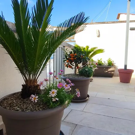 Maison Stelas Loft * Bisceglie
